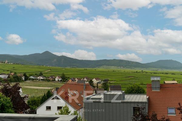 BEBLENHEIM (68980) - VILLA D'ARCHITECTE - PISCINE - SAUNA - AU COEUR DES VIGNES - VUE DÉGAGÉE - ENVI