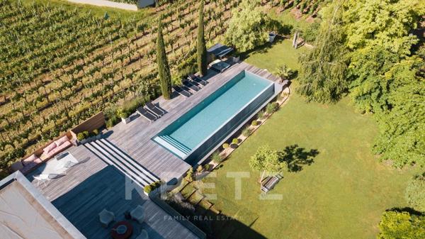 BEBLENHEIM (68980) - VILLA D'ARCHITECTE - PISCINE - SAUNA - AU COEUR DES VIGNES - VUE DÉGAGÉE - ENVI