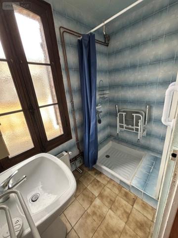 Maison à vendre à Bessé-sur-Braye dans la Sarthe (72310), ref : 101/1971