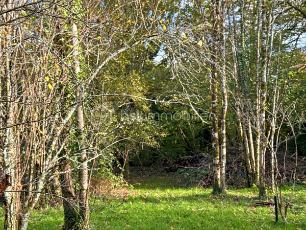 Terrain de 26 565 m²