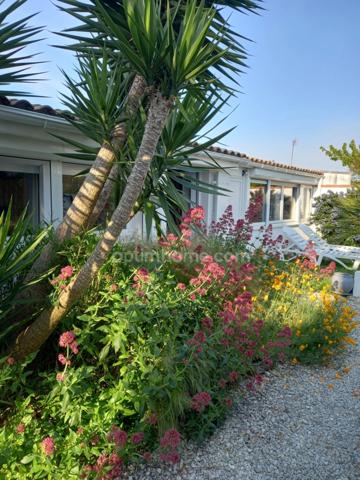 Maison de 5 pièces SAINT MARTIN DE RE (17410)