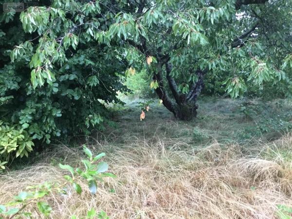 Terrain à Batir à vendre à Caudry dans le Nord (59540), ref : 59191-5408