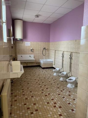 Immeuble à vendre à Mayenne en Mayenne (53100), ref : 046/724