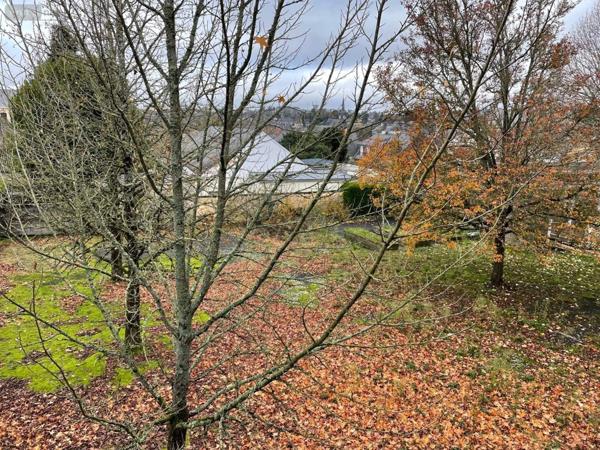 Immeuble à vendre à Mayenne en Mayenne (53100), ref : 046/724