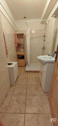 Restauration rapide à vendre 126 m² Montescot