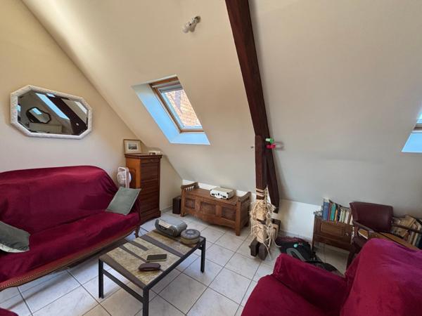 T3  charme hypercentre Tours+parking