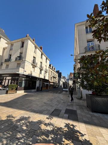 T3  charme hypercentre Tours+parking