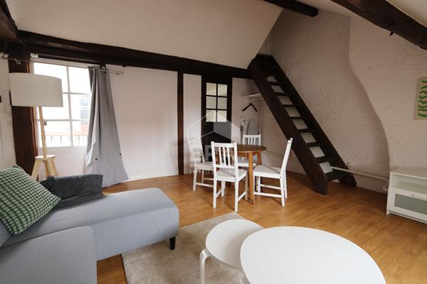 Loft meublé avec terrasse 2 pièce(s) 50 m2 au sol Orléans