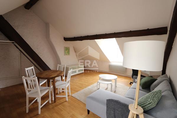 Loft meublé avec terrasse 2 pièce(s) 50 m2 au sol Orléans