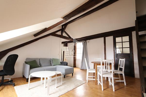 Loft meublé avec terrasse 2 pièce(s) 50 m2 au sol Orléans