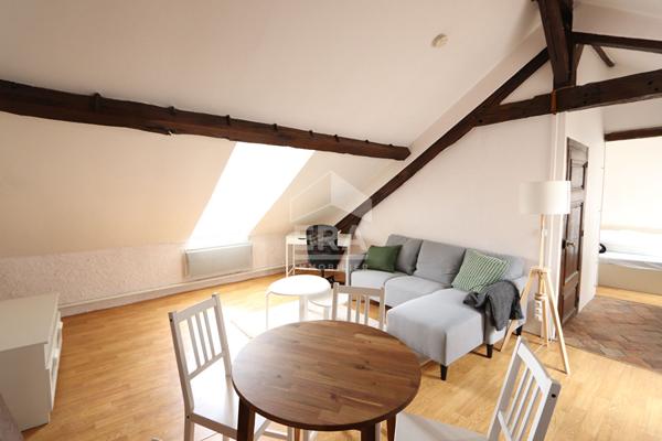 Loft meublé avec terrasse 2 pièce(s) 50 m2 au sol Orléans