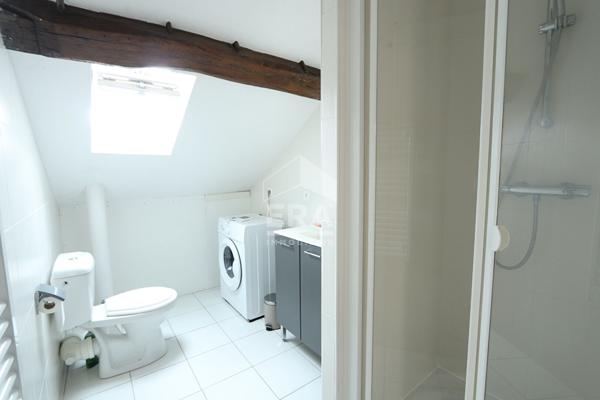 Loft meublé avec terrasse 2 pièce(s) 50 m2 au sol Orléans