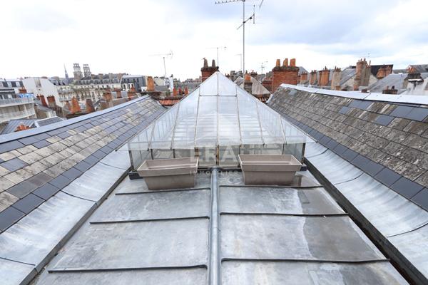 Loft meublé avec terrasse 2 pièce(s) 50 m2 au sol Orléans