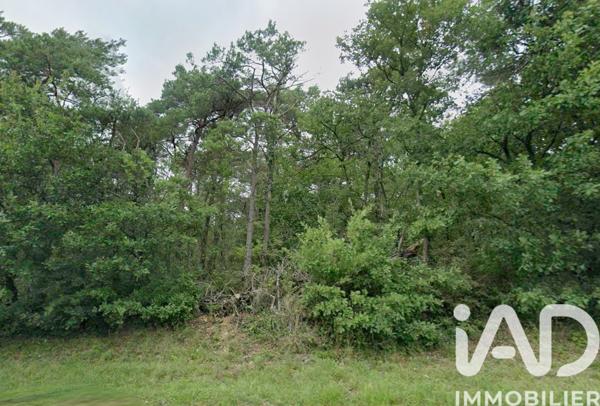Terrain à vendre 5 760 m² Valpuiseaux
