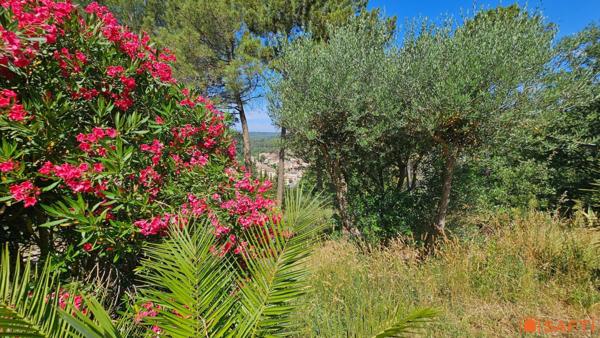 Maison provençale avec piscine