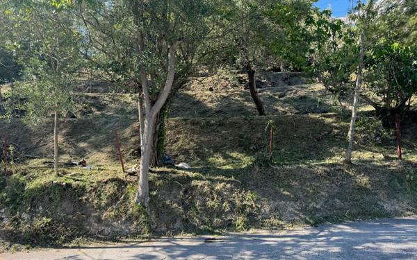 Terrain à vendre    Drap