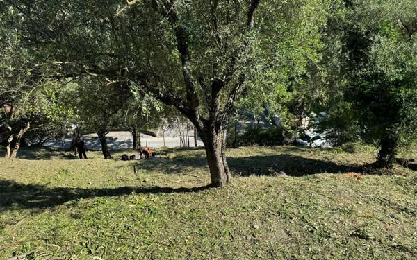 Terrain à vendre    Drap