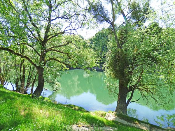 Appartement Gournay Sur Marne 2 pièce(s) 57 m2