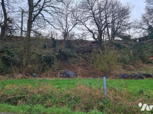 À Vendre à Rohan Terrain à bâtir en partie boisé situé à pied des commodités et services 
