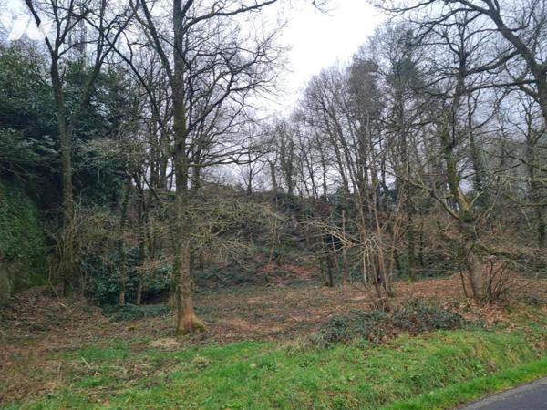 À Vendre à Rohan Terrain à bâtir en partie boisé situé à pied des commodités et services 