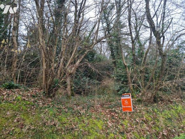 À Vendre à Rohan Terrain à bâtir en partie boisé situé à pied des commodités et services 