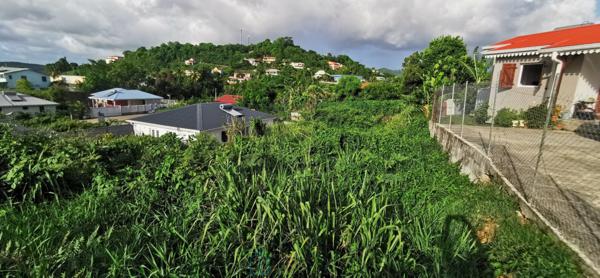 Terrain à vendre de 455 m², surface de plancher 95 m², à Rivière-Salée, quartier Laugier.