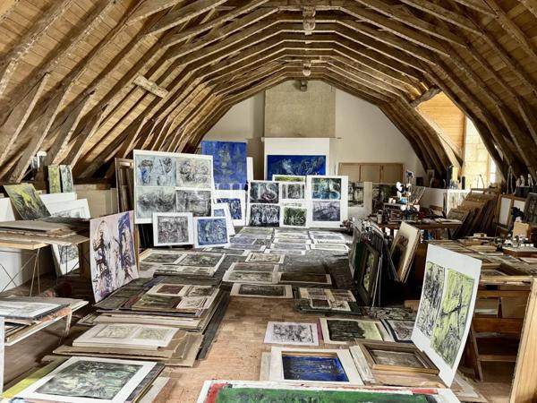 Hotel particulier au cœur de la vallée de la Loire avec grand jardin clos de murs