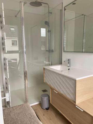 quartier Albert 1er maison avec appartement independant