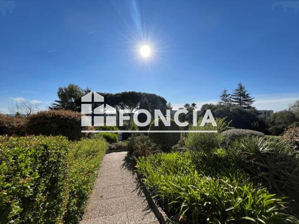 Location Studio 25.4 m² - 568 CHEMIN MOYENNES BREGUIERES Antibes 06600