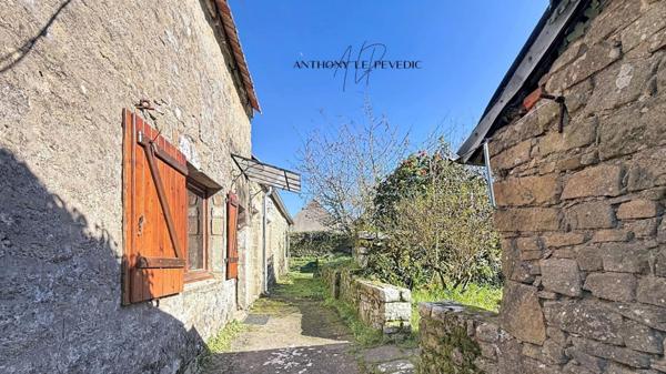 Maison en pierre Typique - 50m2