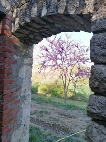 Maison à vendre 10 pièces de 210 m²