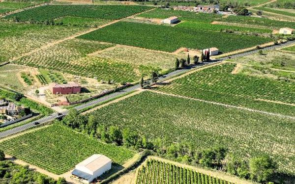 Terrain à vendre    Salles-d'Aude