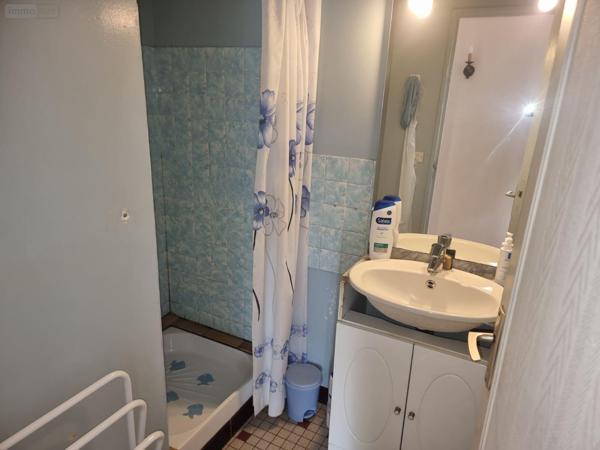 Maison individuelle à vendre à Villefranche-sur-Cher dans le Loir-et-Cher (41200), ref : 41036/3094