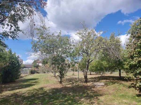 Maison individuelle à vendre à Villefranche-sur-Cher dans le Loir-et-Cher (41200), ref : 41036/3094