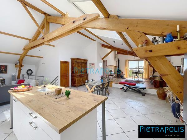 DENICE 10 MIN VILLEFRANCHE LOFT 170 M2 HAB  GRAND GARAGE