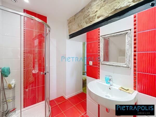 DENICE 10 MIN VILLEFRANCHE LOFT 170 M2 HAB  GRAND GARAGE