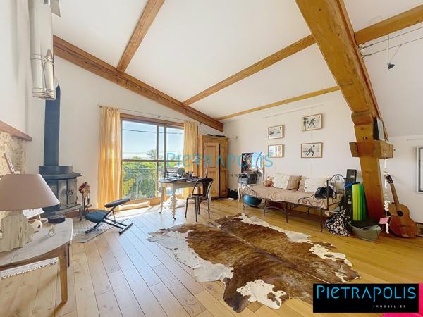 DENICE 10 MIN VILLEFRANCHE LOFT 170 M2 HAB  GRAND GARAGE