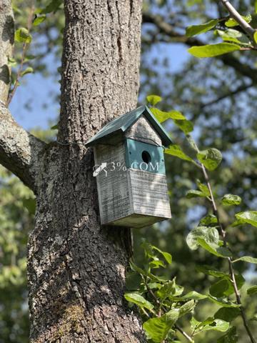 Maison 9 pièce(s) 6 chambre(s) 233.5 m²