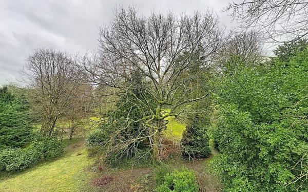 Appartement à vendre    4 pièces • 78,19 m2 Brunoy