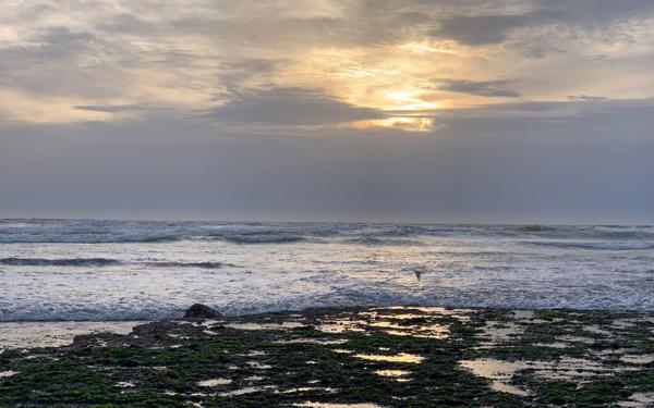 Maison à vendre    10 pièces • 264 m2 Rivedoux-Plage