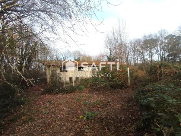 MAISON DE  CAMPAGNE  AU CALME AVEC 10 HECTARES