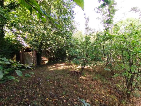 Maison 49m² sur terrain arboré (629m²), Nantes, quartier Gachet - Chantrerie