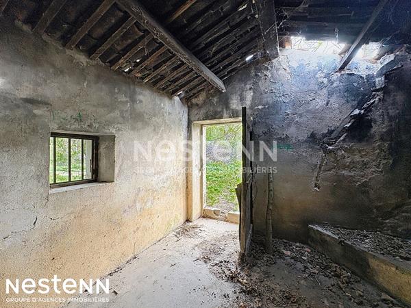 Terrain agricole et de loisirs de 4 558 m² -cadre boisé, puits, cabanon en dur cadastré de 14 m² - Narbonne