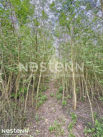 Terrain agricole et de loisirs de 4 558 m² -cadre boisé, puits, cabanon en dur cadastré de 14 m² - Narbonne