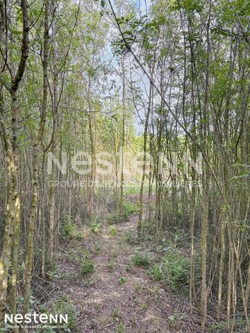 Terrain agricole et de loisirs de 4 558 m² -cadre boisé, puits, cabanon en dur cadastré de 14 m² - Narbonne