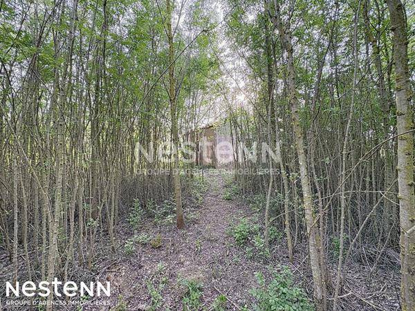 Terrain agricole et de loisirs de 4 558 m² -cadre boisé, puits, cabanon en dur cadastré de 14 m² - Narbonne