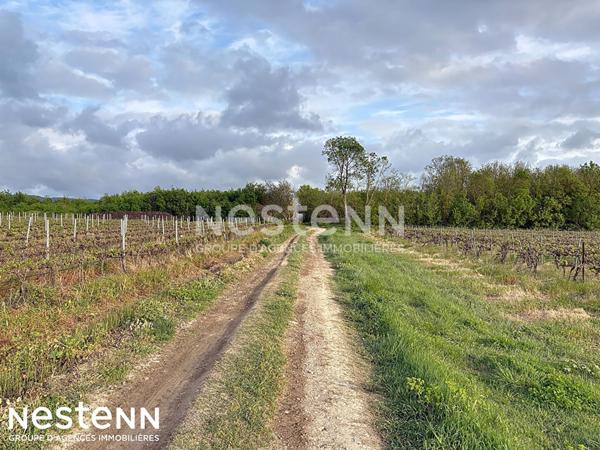 Terrain agricole et de loisirs de 4 558 m² -cadre boisé, puits, cabanon en dur cadastré de 14 m² - Narbonne