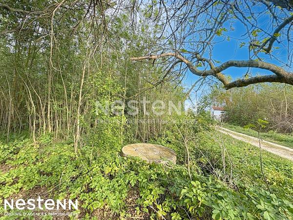 Terrain agricole et de loisirs de 4 558 m² -cadre boisé, puits, cabanon en dur cadastré de 14 m² - Narbonne