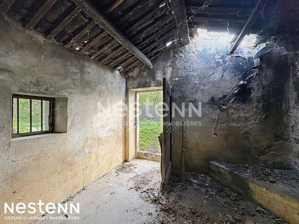 Terrain agricole et de loisirs de 4 558 m² -cadre boisé, puits, cabanon en dur cadastré de 14 m² - Narbonne