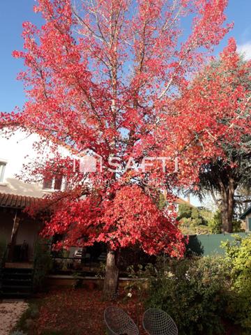 Cahors centre maison avec gîte et piscine